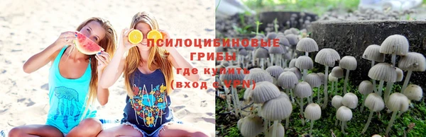 apvp Балахна