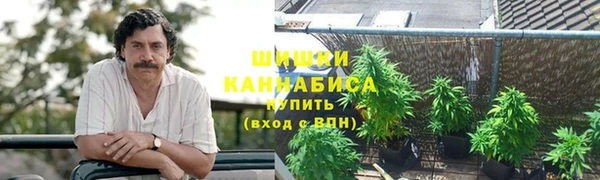 крисы Балабаново